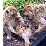 Profile Picture of Joshua. Branstetter (@bubbiejosh80) on Instagram