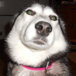 Profile Picture of Reginald Watson (@5473Reggie) on Twitter