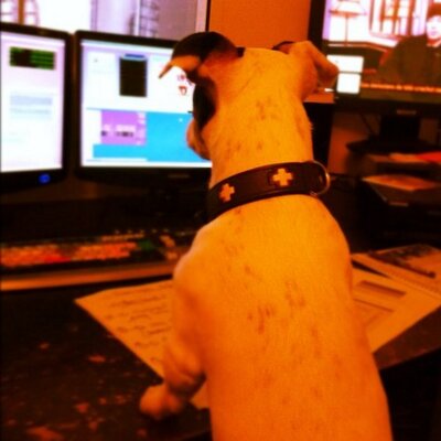 Simon Kaplan - Twitter Profile Picture of Simon Kaplan (@SmnKaplan) on Twitter