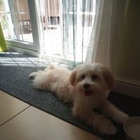 Profile Picture of Joan Cahill (@joan-cahill-14) on Quora