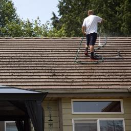 Profile Picture of Aphrodite (@gavin_stener) on Twitter