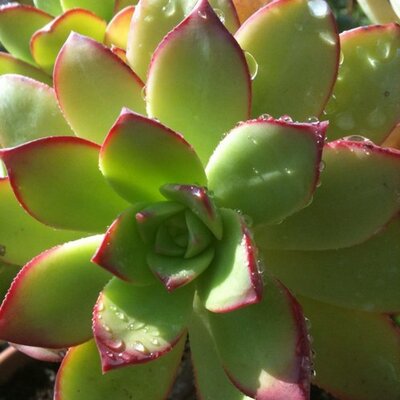 Profile Picture of Jenna (@jennamish) on Twitter