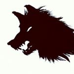 Profile Picture of Taylor Stapleton (@the.wolfs.bane) on Instagram