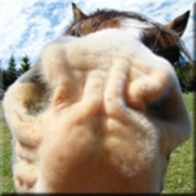 Viola Lara - Twitter Profile Picture of Viola Lara (@ViolaLara9) on Twitter