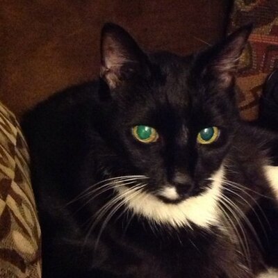 Profile Picture of Christopher Cozzy (@cj1toph) on Twitter