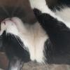 Profile Picture of Robert Schreiber (@@robertschreiber8) on Tiktok