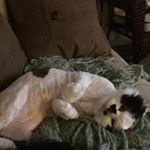 Profile Picture of Karen Larsen (@larsen4750) on Instagram