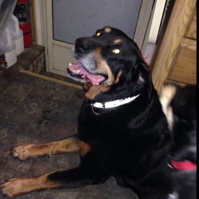 Profile Picture of Joe Beyer (@BIGDADDYOF61) on Twitter