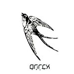 Profile Picture of ABRAHAM ECHEVARRIA® (@mr_sad26) on Instagram