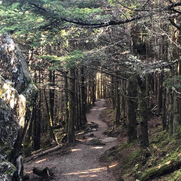 Profile Picture of Addie Walker (@walkeraddie) on Poshmark