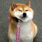 Profile Picture of Susanna Keller (@SushiTheFlareon) on Youtube