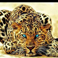 Profile Picture of Yahya Ibrahim (@yahyaibrahim454) on Twitter