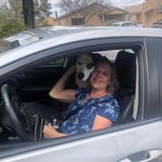 Profile Picture of Anna Tocco (@anna.tocco.71) on Instagram