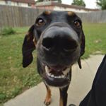 Dustin Schofield - Instagram Profile Picture of Dustin Schofield (@schofielddustin) on Instagram