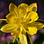 Profile Picture of David Green (@dwgwaco0114) on Flickr