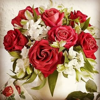 Profile Picture of loripoor 44 (@loripoor) on Instagram