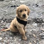 Profile Picture of Deb Graham (@yogadeb111) on Instagram