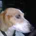 Profile Picture of Brent Gill (@brent.gill.923) on Facebook