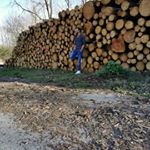 Profile Picture of robin 💚 (@robin_schatz_) on Instagram