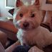Profile Picture of Steven Schoonover (@steven.schoonover.52) on Facebook
