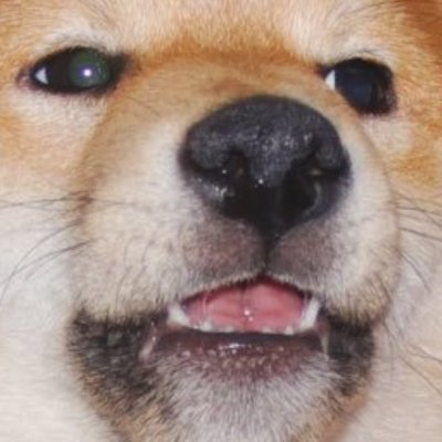 Profile Picture of James (@Jems_Ashby) on Twitter