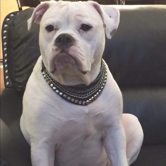 Profile Picture of Jenny Rowland (@jenjenrow) on Poshmark