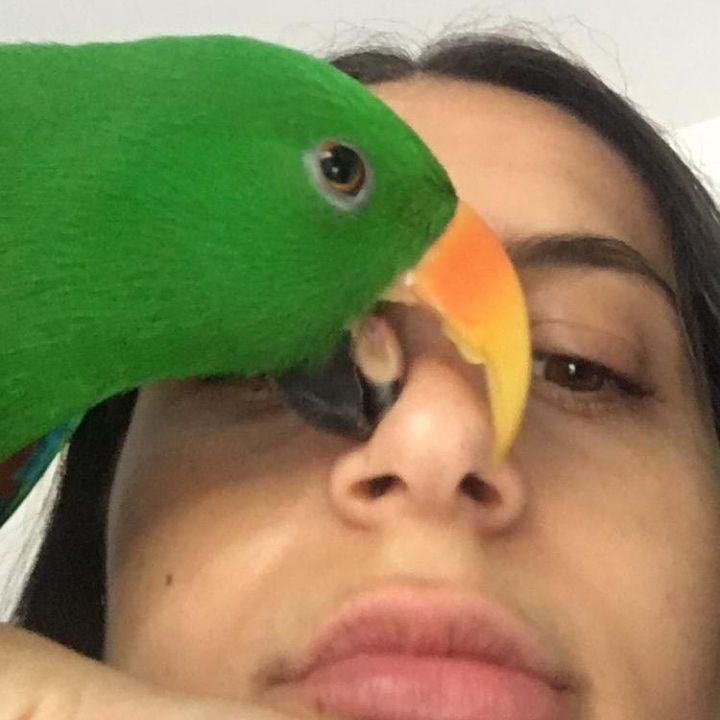 Profile Picture of Elisha (@elishas98) on Tiktok