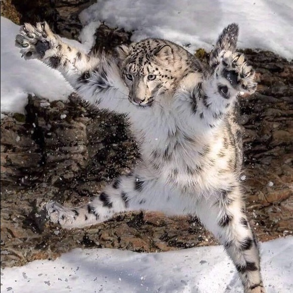 Profile Picture of Eric Tang (@marvlols) on Poshmark