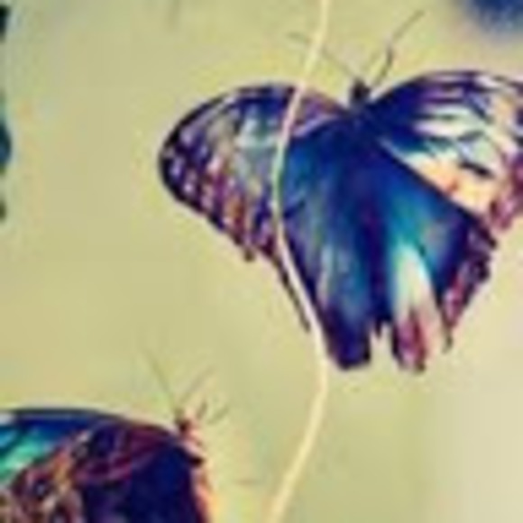 Profile Picture of Anooksha Reddy (@anookshareddy) on Poshmark