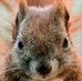 Profile Picture of Mark Riebel (@mark.riebel.1) on Facebook