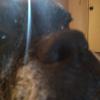 Profile Picture of jamesloggins311 (@@maymaytheboxer) on Tiktok