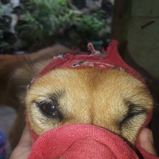 Profile Picture of Stephen Tappy (Renuel De Castro) (@renuel.walker) on Facebook