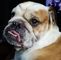 Profile Picture of Nancy Damron (@nancy.damron.7) on Facebook