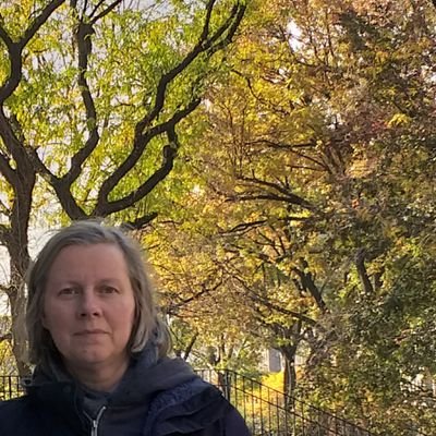 Profile Picture of c. lauer (@c_lauer) on Twitter