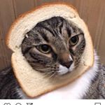 Profile Picture of Edward Decker Overbey (@fortheloveofeddie) on Instagram