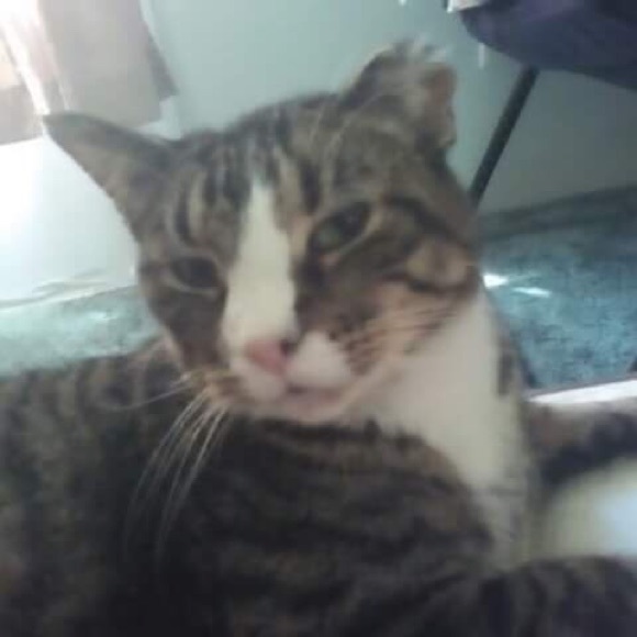 Profile Picture of Savannah Hodge (@shodge2023) on Poshmark