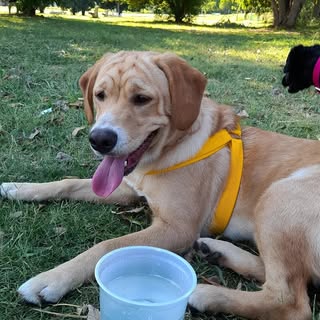 Profile Picture of michael (@_michael_mendes_) on Instagram