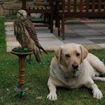 Profile Picture of Alex Schoch (@schoch_alex) on Instagram