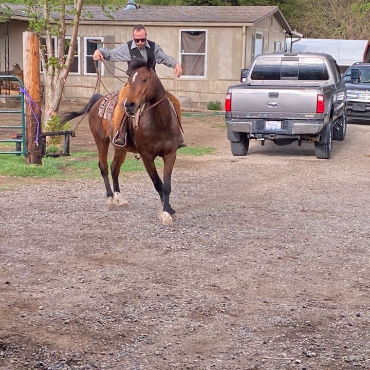 Profile Picture of neilcob2 (@neilcob2) on Tiktok