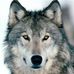 Profile Picture of Brian Castner (@brian.castner.7) on Facebook