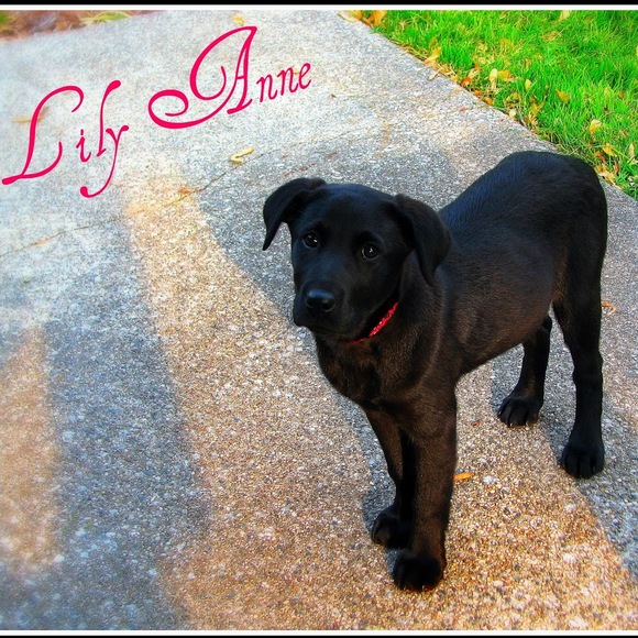 Profile Picture of Katie Sumrall (@ksumrall01) on Poshmark