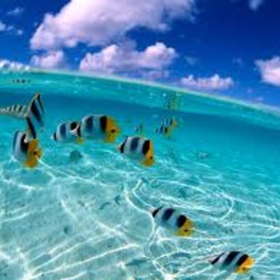 Profile Picture of Mirtha Rivera Leon (@22Xiaxy) on Twitter