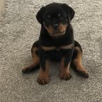 Profile Picture of Mike Olds (@Mike-Olds) on Facebook