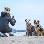 Profile Picture of Nicole Behling (@nicolebehlingfotografie) on Instagram