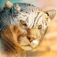 Profile Picture of Gavin Graves (@gavin-graves-9) on Quora