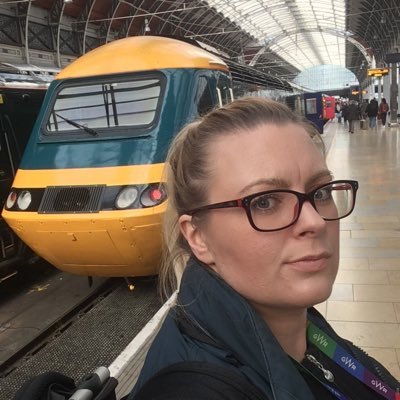 Profile Picture of Kerry Cassidy (@ladytraindriver) on Twitter