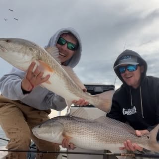 Marshall Dreyer - Instagram Profile Picture of Marshall Dreyer (@washer_dreyer) on Instagram