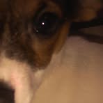 Profile Picture of Oscar Clough (@oscar.clough) on Facebook