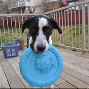 Profile Picture of Mark Watton (@markwatton3417) on Youtube