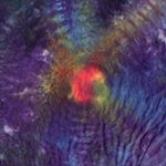 Profile Picture of Erin GH Beardemphl (@eghbeardemphl) on Instagram